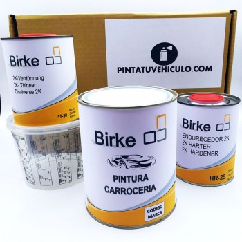 Kit completo de pintura monocapa con brillo directo y accesorios de mezcla para carrocería