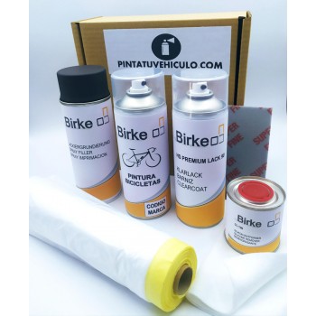 Pack completo de restauración para bicicletas: imprimación, pintura bicapa, y materiales de limpieza.