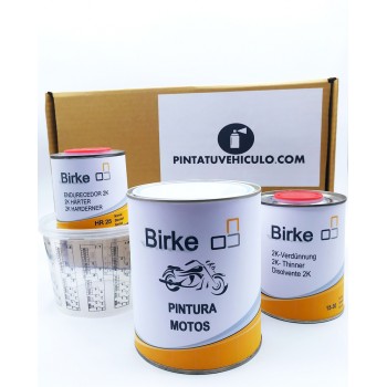 Kit de Pintura Monocapa...