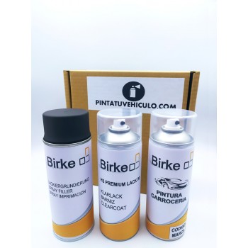 Kit Spray Pintura Bicapa +...