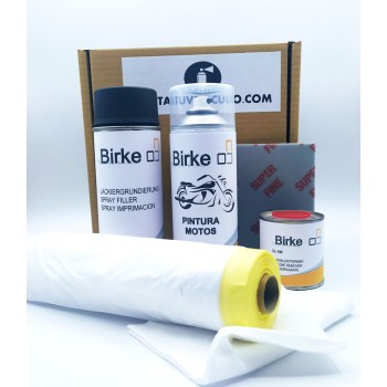 Kit de reparación total: Spray Color a medida pack completo de accesorios para un acabado profesional.
