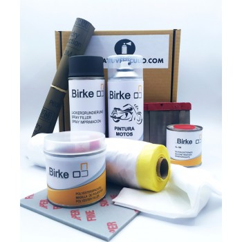 Kit especial abolladuras. El pack profesional que necesitas para reconstruir , nivelar y pintar tu moto con brillo directo