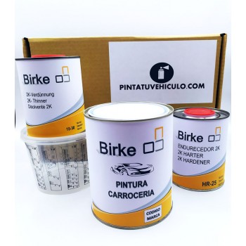 Kit de Pintura Monocapa...