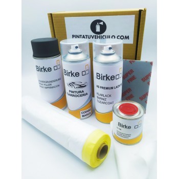 Kit Spray Pintura Bicapa -...