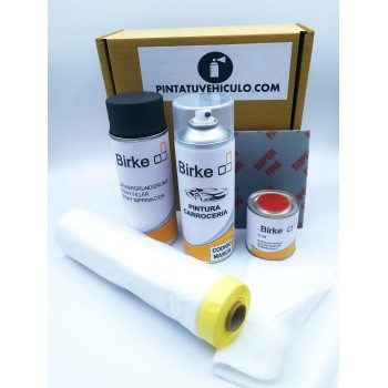 Kit Reparación de Pintura...