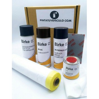 Kit integral para la reparación de arañazos: sprays, limpieza y protección de superficies.